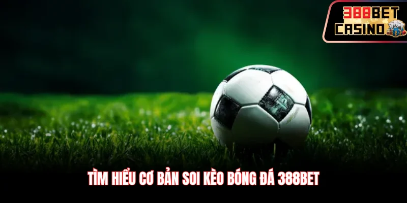 Thực hiện soi kèo qua từng kiểu cược cơ bản
