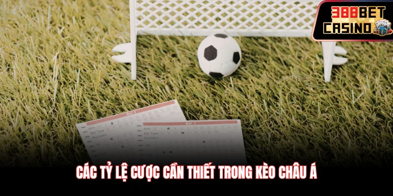 Các tỷ lệ cược cần thiết trong kèo châu Á